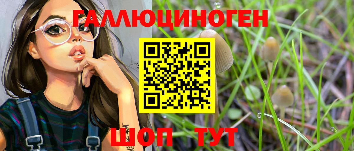 Тимашёвск  наркотики  Вход с VPN  Псилоцибиновые грибы Magic Shrooms 